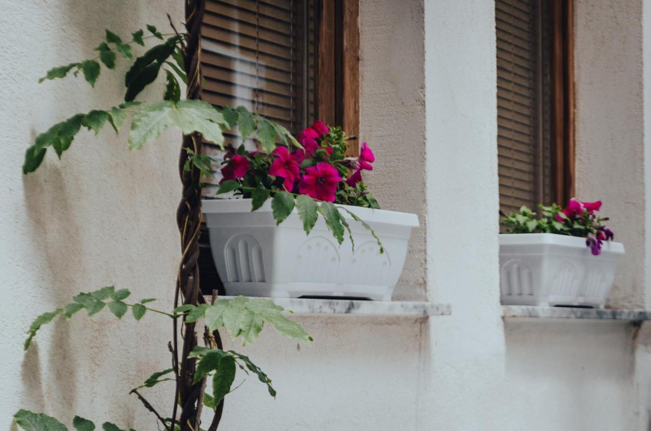 Oda Hostel Prishtinë Ngoại thất bức ảnh